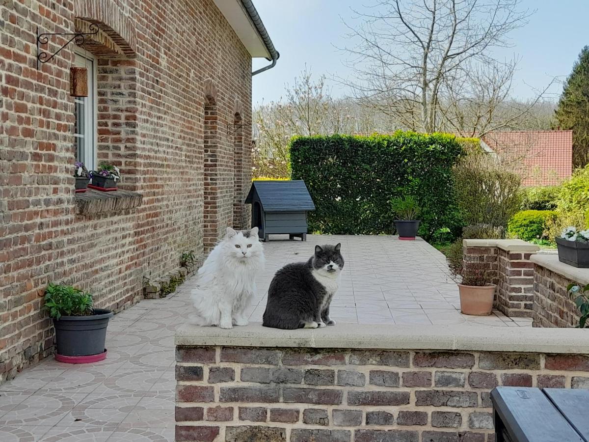 Gites "Aux Charmes De La Baie" Labellises 3 Clevacances Avec Parking Et Terrain Clos Buigny-Saint-Maclou Exterior photo